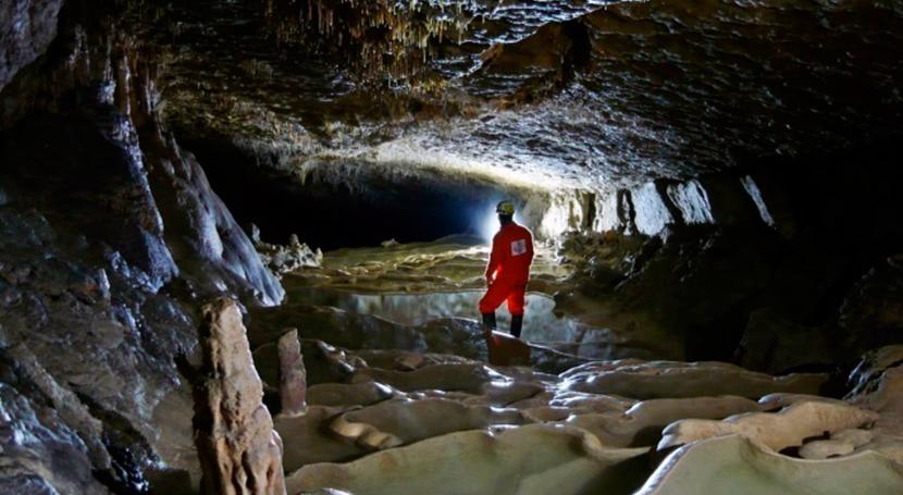 Dryas Reciente, fulminante evento climático que llevó planeta condiciones casi glaciares